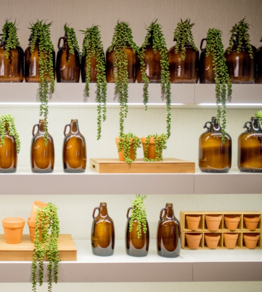 The_Botanist_Columbus_Plant_Display